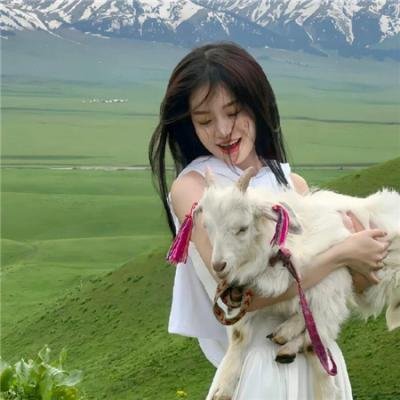 好汉三条半